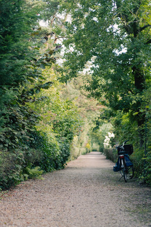 A peaceful pathway surrounded by lush green trees and bushes with a bicycle parked on one side during a calm dayの写真素材