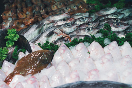 Wide selection of fresh seafood including fish garnished with leafy greens and fruits on a market stallの写真素材