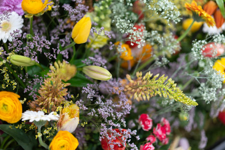 A vibrant closeup of colorful blooming flowers and greenery featuring tulips and daisiesの写真素材