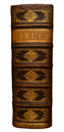 Closeup of a vintage book spine featuring gold details and intricate design on leather bindingの写真素材