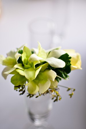 White orchidの写真素材