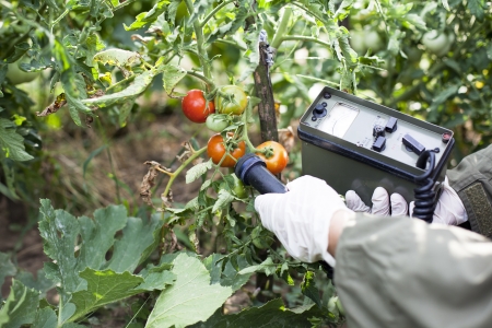 measuring radiation levels of vegetable