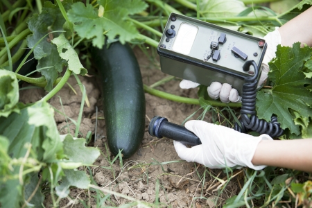 measuring radiation levels of vegetableの写真素材