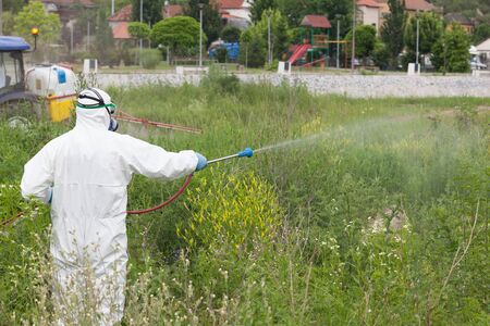 Pest control worker spraying insecticideの写真素材