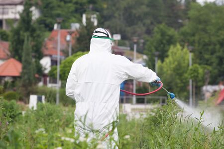 Pest control worker spraying insecticideの写真素材