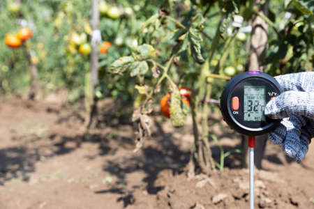 Measuring temperature, moisture content of the soil and environmental humidity in a vegetable garden. Global warming concept.の写真素材