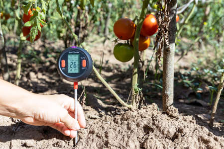 Measuring temperature, moisture content of the soil, environmental humidity and illumination in a vegetable gardenの写真素材