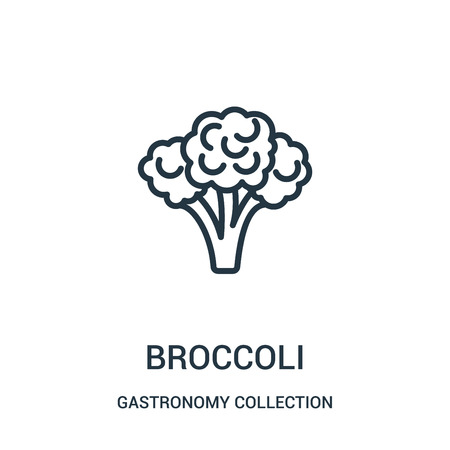 broccoli icon vector from gastronomy collection collection. Thin line broccoli outline icon vector illustration. Linear symbol for use on web and mobile apps, logo, print media.のイラスト素材