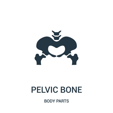 pelvic bone silhouette icon vector from body parts collection. Thin line pelvic bone silhouette outline icon vector illustration. Linear symbol for use on web and mobile apps, logo, print media.のイラスト素材
