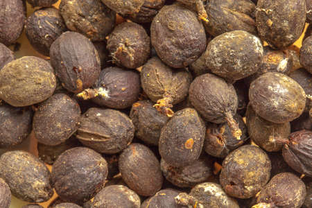 Coffee bean fruits in shell - high definition pattern