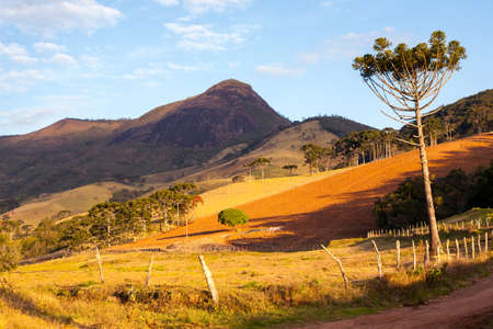Pico do Papagaio - rocky mountain in Brazilの写真素材