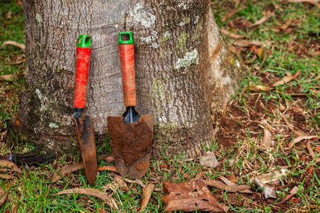 Colored and used small garden shovels - mud dirt - gardeningの写真素材