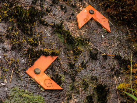 Path way marks in wet rocks
