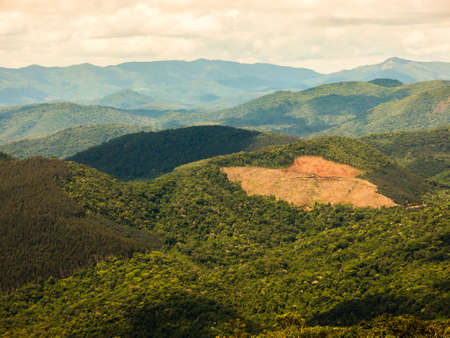 Eucalyptus plantation in a brazilian mountain forest seen from above - birds eyeの写真素材