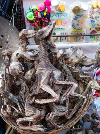 Dehydrated llamas used for offer in Andean ritual for sale on La Paz street - Boliviaの写真素材