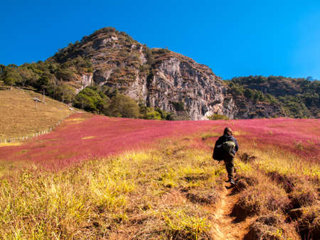 Rock climber walking to mountain roch in colored bushes