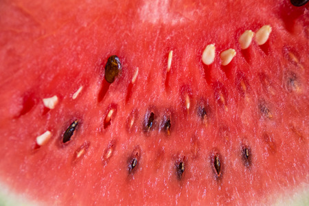 Watermelons are a sweet, popular fruit of summer, usually consumed fresh in slices, diced in mixed fruit salads, or as juice.の写真素材