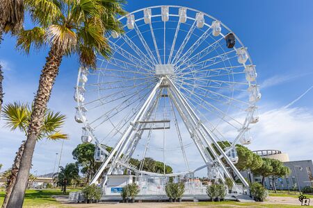 Ferris wheel in in front of the sea in Olbia center park surrounded by palm trees and near the museum of the cityの写真素材