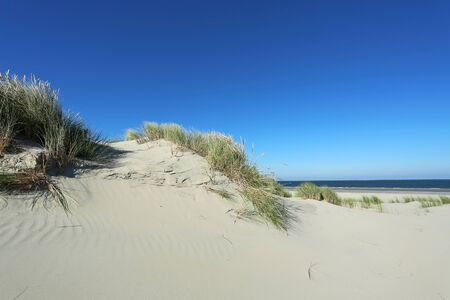 Fore dunes on Frisian island Borkumの写真素材