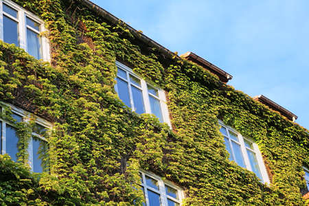 green facade on apartment house with balcony