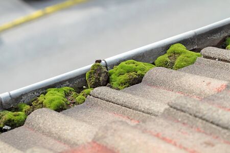 Polluted drip rail with moss