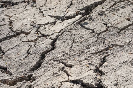 Texture of dried out soilの写真素材