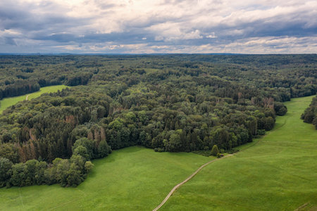 Aerial view of forest edgeの写真素材