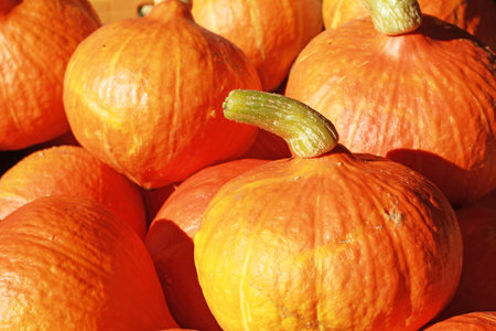 stack of hokkaido pumpkinsの写真素材