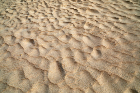 texture of sand waves at the beachの写真素材