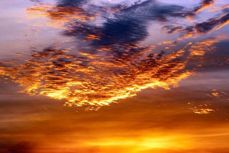 evening sky with clouds lit from below