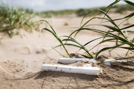 Styrofoam plastic waste in the sand of a dune on the beachの写真素材