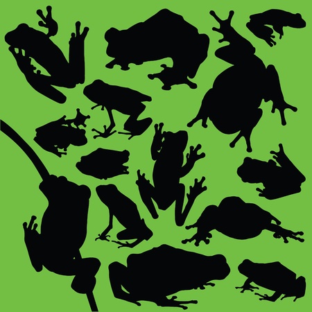 A collection of 14 different frog silhouettes.のイラスト素材