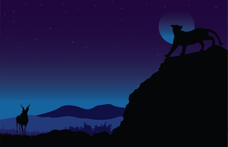 An illustration of a lion stalking its prey down below in the moonlightのイラスト素材