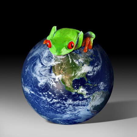 Frog on Earthの写真素材