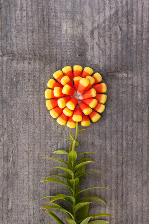 A flower made from Candy Corn on a wood background.の写真素材