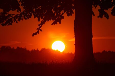 Sunset view of a Setting sun in front of a dark tree shape showing the enod of the day in a perfect mood - sympathy card.の写真素材