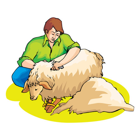 Farm composition with human character of worker shearing the sheep vector illustrationのイラスト素材