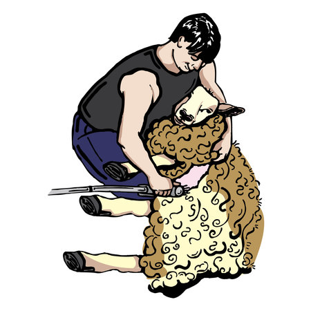 Farm composition with human character of worker shearing the sheep vector illustrationのイラスト素材