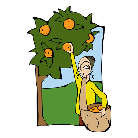 Cartoon characters of farmer Picking Oranges vector design illustrationのイラスト素材