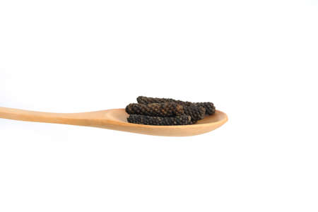 Dried Piper retrofractum, the Balinese long pepper or Javanese long pepper on wooden spoon, isolated...