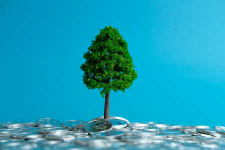 Miniature business concept - financial investment, growing money tree on coin stack on blue backgroundの写真素材