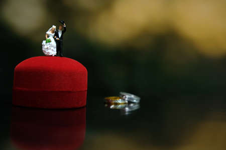 Miniature wedding concept. Bride and groom walking out make greeting above their wedding ring box....