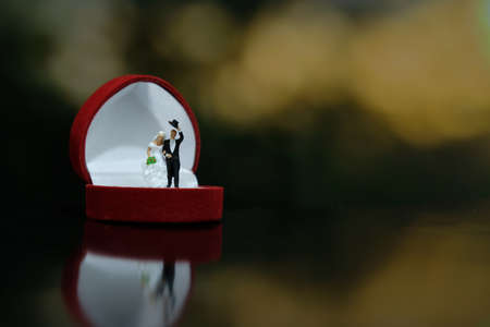 Miniature wedding concept. Bride and groom walking out make greeting above their wedding ring box. image photoの写真素材