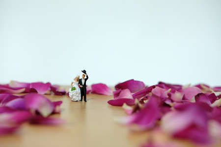 Miniature photography - outdoor garden wedding ceremony concept, bride and groom walking on red rose flower pileの写真素材