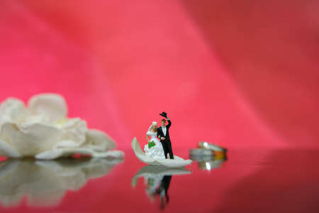 Miniature photography - garden flower outdoor wedding concept, bride and groom walking on shiny floor with white rose petalの写真素材