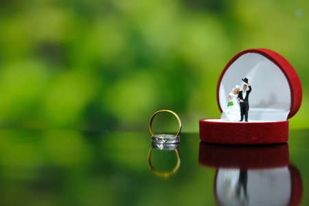 Miniature wedding concept. Bride and groom make greeting from above opened heart ring box. image...