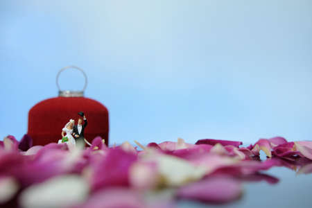Miniature photography outdoor marriage wedding concept, bride and groom walking in front of opened...