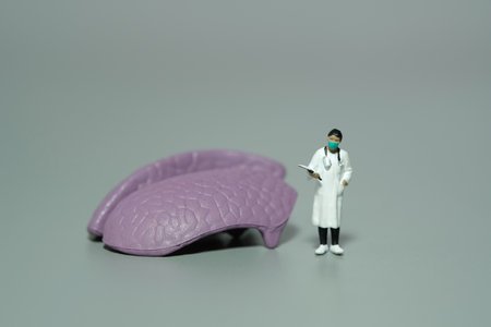 Miniature people toy figure photography. A women doctor standing beside brain organ. Isolated grey background. Image photoの写真素材