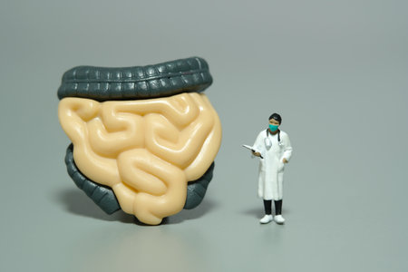 Miniature people toy figure photography. A women doctor standing in front of digestive organs....