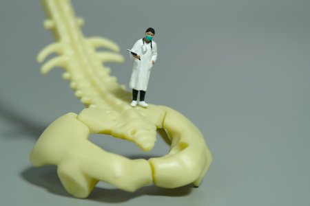 Miniature people toy figure photography. A female doctor standing above hip bone on grey background. Image photoの写真素材